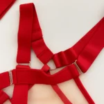 Conjunto de lenceria con encaje Rosy rojo — imagen 5