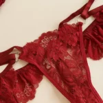 CONJUNTO DE LENCERIA ENCAJE BRITNEY — imagen 3
