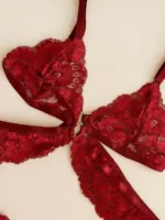 CONJUNTO DE LENCERIA ENCAJE BRITNEY — imagen 4