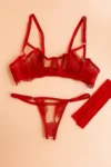 conjunto-de-lenceria-de-encaje-aurora-rojo Conjunto de lenceria de encaje aurora rojo