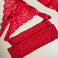 LENCERIA DE ENCAJE ROJO SCARLETT LENCERIA DE ENCAJE ROJO SCARLETT