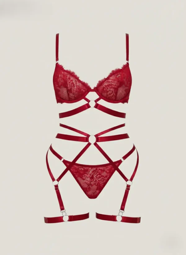 Conjunto de lenceria con liguero diana